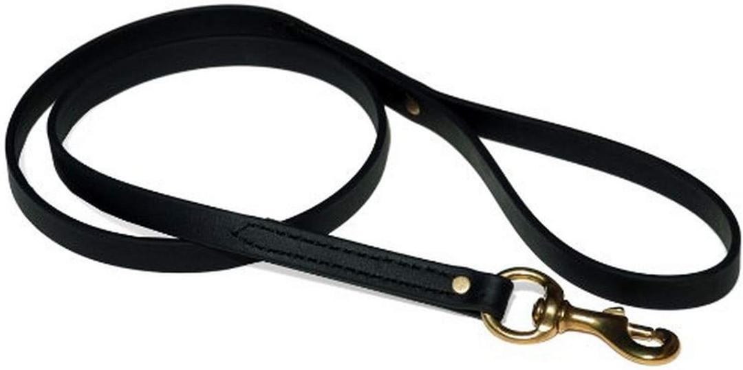 Ray Allen Mfg Signature K9 Biothane Leash, 4-Feet x 5/8-Inch, Black