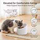 Pink Ceramic Raised Cat Bowls, Tilted Elevated Food or Water Bowls, Stress Free, Backflow Prevention, Dishwasher and Microwave Safe, Lead & Cadmium Free