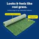 PetSafe Pet Loo Pet Potty Replacement Grass - Medium - Easy to Clean