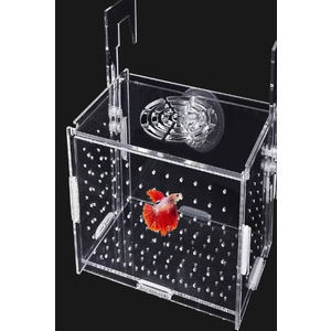 Hamiledyi Acrylic Breeding Isolation Box  Transparent Aquarium Hatchery for Guppy/Shrimp/Small Fish, Safe Nursery Tank with Air Tube & Suction Cups(5.9" × 5.9" × 5.9")