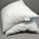 Oubonun 16 x 16 Throw Pillow Inserts Set of 2-100% Cotton Cover - White Couch Bed Decorative Pillow Pair