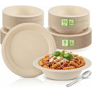 Havawish  Compostable Paper Plates and Bowls Set 9 Inch Disposable Plate 16oz Biodegradable Bowls for Party Dinner 75-person Bulk Party Supplies