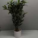 Fake Olive Tree with Pot Indoor, 30" Artificial Olive Tree Stems Potted Greenery Tabletop Faux Green Plants in Pot for Office Bedroom Bathroom Kitchen Living Room Home Decor