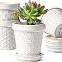 LE TAUCI 3 Inch Mini Succulent Pots - Very Small Ceramic Planter with Saucer, Tiny Embossed Flower Pots for Lithops, Mini Cactus, Air Plants, Fairy Gardens - Indoor Home Decor, Set of 4, Arctic White