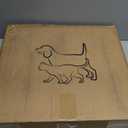 Airline Approved Top-Expanding Pet Carrier on Wheels- Rolling Carrier- Designed for Dogs & Cats- Extra Spacious Soft Lined Carrier! 18x11x11 (Original Mesh Sides) (Grey)