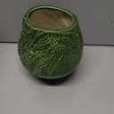 Sunddo Green Ceramic Vase, Large Round
Modern Decorative Vases for Table Centerpieces, Flowers, Living Room, Kitchen, Bathroom, Shelf, Home Decor, 8 Inch