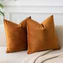 JUSPURBET Velvet Throw Pillow Covers for Sofa Couch Bed,Decorative Soft Pillow Cases Set of 2,26x26 Inches,Rust