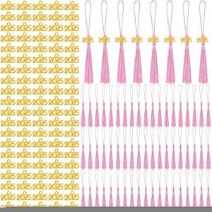 Cindeer 100 Pcs Mini Graduation Tassels with 100 Pcs 2025 Tassel Charms for Crafts Mini Silky Bookmark for Graduation Cap Keychain Ornaments DIY Craft Jewelry Making Project (Pink)