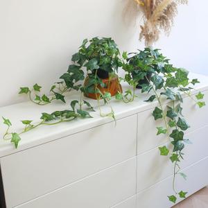 Fake English Ivy Plants in Pots Set of 2 Realistic Artificial Ivy Greenery for Home Decor, Tabletop, Office, Shelf, Balcony or Bathroom Lifelike Faux Hanging Vines, No Maintenance Required