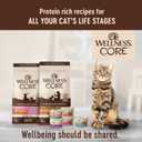 Wellness CORE Signature Selects Shredded Adult Wet Cat Food, Natural, Protein-Rich, Grain Free, 5.3 Ounce, 12 Pack (Poultry Variety Pack)