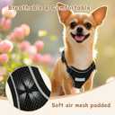 Small Dog Harness and Leash Set, Reflective Soft Breathable Mesh Vest, 3 Buckles, Adjustable Neck and Chest,Step in Dog Harness for Walking, Running, Training, Black, XS