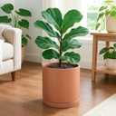 D'vine Dev Large 10 Inch Terracotta Plant Pot with Drainage Hole and Saucer, Round Cylinder Planter Pot for Indoor Plants, 40-X-A-5