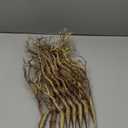 8 Pieces Dried Tree Branches Artificial Antler Branch Manzanita Branches Plastic Tree Branches for Decoration for Christmas Party Various Festivals Home Hotel Decoration (Coffee)