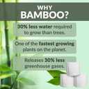Reli. Bamboo Toilet Paper (24 Jumbo Rolls) | 3 Ply Toilet Paper (350 Sheets/Roll) Bathroom Tissue | Organic Bath Tissue | Bamboo Chemical Free Toilet Tissue Rolls (8400 Sheets Total)