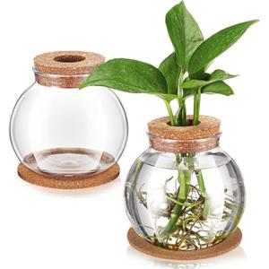 Baderke 2 Packs Propagation Vases for Plants Plastic Plant Propagation Station with Hole Lid and Cork Coasters Plant Growing in Water Hydroponic Home Office Table Decoration(Fish Bowl Style)