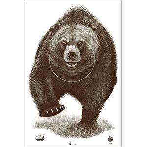 Alaska State Parks Bear Target