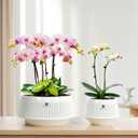 5 inch Orchid Pots with Holes for Repotting,Set of 2,Decorative African Violet Pots with Air-Pruning and Good Air Circulation,Plastic White Orchid Planter with Saucers