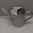SunnyTong Metal Watering Can for Outdoor and Indoor Plants, Watering Can Decor, 1 Gallon (Zinc Stainless Steel Handle)