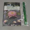 Savoring Stillness: The Guide to Infusing Life with Mindfulness