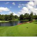 Golf Course Backdrop 10x8ft Green Vinyl Multi-purpose Occasion Type Includes 1x Vinyl Backdrop