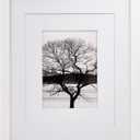 Egofine 11x14 Picture Frame White - Photo Frame Made of Solid Wood Covered by Plexiglass for Table Top Display Pictures 5x7/8x10 with Mat or 11x14 Without Mat - with Wall Mounting Hardware