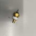 Standard Motor Products TS58 Temp Sender/Sensor, 1 Count (Pack of 1) Gold 