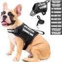 Service Dog Vest Harness and Leash Set+10 Patches,No Pull&Easy Walk Reflective Dog Harness with Soft Padded Handle for Training/Everyday, Dogs(Black M)