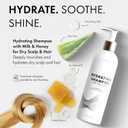 2 x Hydrating Shampoo and Conditioner 2-in-1 for Dry Hair – Color Safe Shampoo and Conditioner in One Formula, Honey & Aloe Moisture Boost for Deep Hydration & Silky Shine, For Colored Hair (12 Fl Oz)