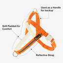 Plutus Pet Cotton Dog Harness and Leash Set, Reflective and Soft Padded, Quick Fit Vest Harness, for Small, Medium and Large Dogs, Orange, XXS