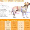Dog Knee Brace for Acl Injury Recovery, Adjustable, Provides Stable Support for Ligament Strain and Joint Pain, Fits Front or Rear Leg, Ideal for Rehab and Everyday Use, Durable, Comfortable, M (Blck)