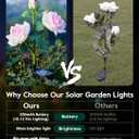 Brightown Outdoor Solar Garden Lights - 4 Pack LED Flower Lights with Realistic Rose, Bigger Solar Panel, Waterproof for Yard & Patio Decorations