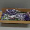 Hananona 24 Pcs Artificial Flowers Outdoor, Faux Artificial Plants UV Resistant Plastic Flower Bulk for Hanging Planter Porch Window Home Wedding Fall Summer Decor (24, Fuchsia, Purple, Yellow, Green)