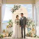 6.6FT Wedding Arch Backdrop Cover, Beige Spandex Arch Covers Stretchy Backdrop for Wedding, Birthday, Party, Baby Shower, Ceremony Banquet Decoration