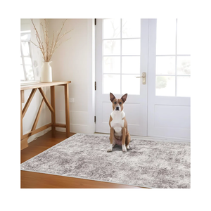 Abstract 3x5 Washable Rug: Modern Non Slip Area Rug Soft Carpet Foldable Distressed Stain Resistant Neutral Rugs for Hallway Living Room Bedroom Decor Indoor Small Farmhouse Rug 3'x5' Gray Cream