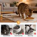 Cat Food Bowls - 3 Pack Whisker Fatigue Ceramic Cats Dishes Set for Indoor Cats, Shallow Wide Kitten Plates for Wet Food and Water, Microwave & Dishwasher Safe
