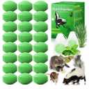 Peppermint Skunk Repellent, Raccoon Repellent Ball for House Garage Garden Car Engine Indoor, Raccoon Deterrent for Outdoor, Keep Skunks and Raccoons Out Natural Ingredients Pet Safe, Green