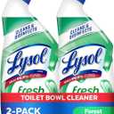 Lysol Toilet Bowl Cleaner Gel, For Cleaning and Disinfecting, Stain Removal, Forest Rain Scent, 24oz (Pack of 2)