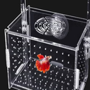 Hamiledyi Acrylic Breeding Isolation Box  Transparent Aquarium Hatchery for Guppy/Shrimp/Small Fish, Safe Nursery Tank with Air Tube & Suction Cups(5.9" × 5.9" × 5.9")