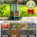 Birdream 2 Pack Bird Feeders for Outdoor Hanging, Retro Pagoda Design Fun Installation Bird Feeder, Attracting Wild Birds Chickadees Goldfinches Cardinals Finches and Sparrows - Green