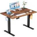 DUMOS 48.6 Inch Electric Standing Desk, Memory Adjustable Home Office Desk