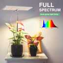 LORDEM Grow Light for Indoor Plant, Full Spectrum LED Plant Light, Height Adjustable Growing Lamp with Auto On/Off Timer 4H/8H/12H, 4 Dimmable Brightness, Ideal for Home Desk Plant Lighting, 2 Pack