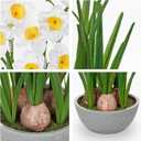 Artificial Flowers in Pot 16" Fuax Daffodil Potted Flowers Plant Decor Room Farmhouse Fake White Flower Plants Centerpieces Desktop Spring Summer Flowers Home Decor Indoor for Living Room Kitchen