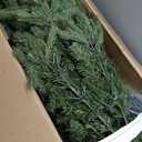 National Tree Company 6.5 ft Pre-Lit Jersey Fraser Fir Artificial Christmas Tree, 800 Clear Lights, 2,224 Tips, Includes Stand, Green