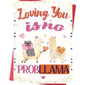 2 x Funny Cute Valentines Day Card and Gift for Him or Her  Valentines Day Card for Boyfriend Girlfriend Husband Wife (WY-500)