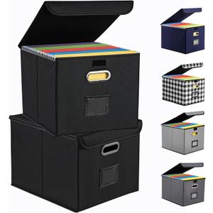 Hleelomi Collapsible File Box with Lid & Plastic Slide - Hanging Document Organizer for Office/Home, 14.96x12.6x10.83 Inch,Black, 2 Pack (No Folders Included)