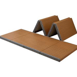 Japanese Traditional Tatami Mattress, Coconut Coir Tatami Mat, Foldable Japanese Floor Mattress,Futon Bed,Meditation Mats for Floor,Summer Sleeping Mat(100 * 200cm)