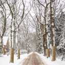 Natural Burlap Tree Protector Wraps, 15.7inches x 20ft Plants Tree Trunk Guard Protector Wrap Winter Frost Plant Blankets Antifreeze Bandage Wraps Burlap Rolls for Keep Plant Warm and Moisturizing