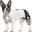 Dog Knee Brace for Back Leg, Luxating Patella Brace for Extra Small Dogs with Reflective Material, Dog Leg Brace Front with 6 Metal Strips, Provide Strong Support, Relieve Pain, Promote Recovery XS