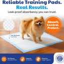 American Kennel Club Scented Puppy Training Pads with Ultra Absorbent Quick Dry Gel 22 x 22 Pee Pads for Dogs - Fresh Scented - Pack of 100