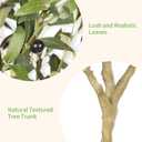 Realead 8ft Tall Faux Olive Tree - Realistic Large Olive Trees Artificial Indoor - Fake Olive Tree with Natural Trunk and Lifelike Leaves for Morden Home Office Decor